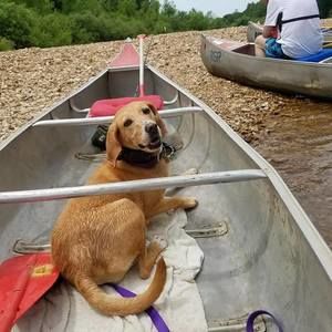 Meet your Posher, Laura